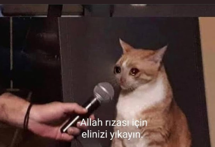 Hayvan olsaydınız eğer insanlığa ne söylemek isterdiniz?