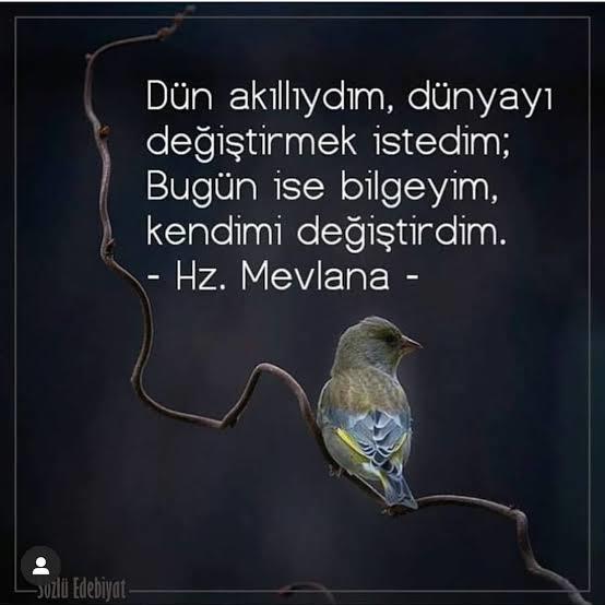 Vurdumduymaz mı hassas mısınız?