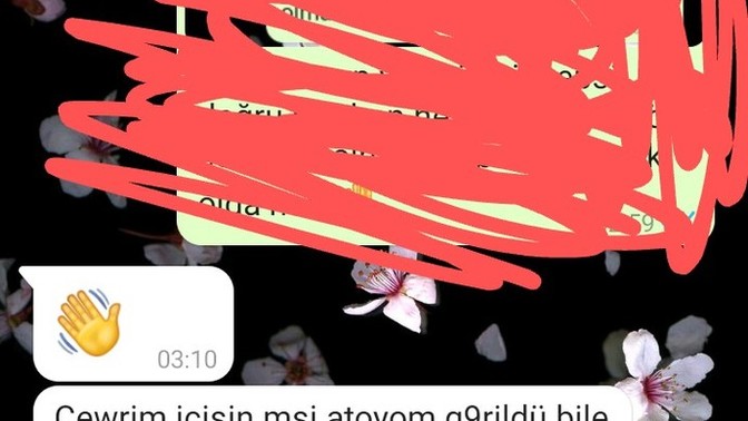 Eski esimin yaptığına ne anlam veriyosunuz mantıklı cvp verenlerle sohbet olucak?