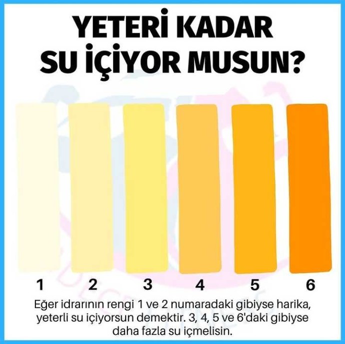 İdrar renginize göre yeterli su içiyor musunuz?