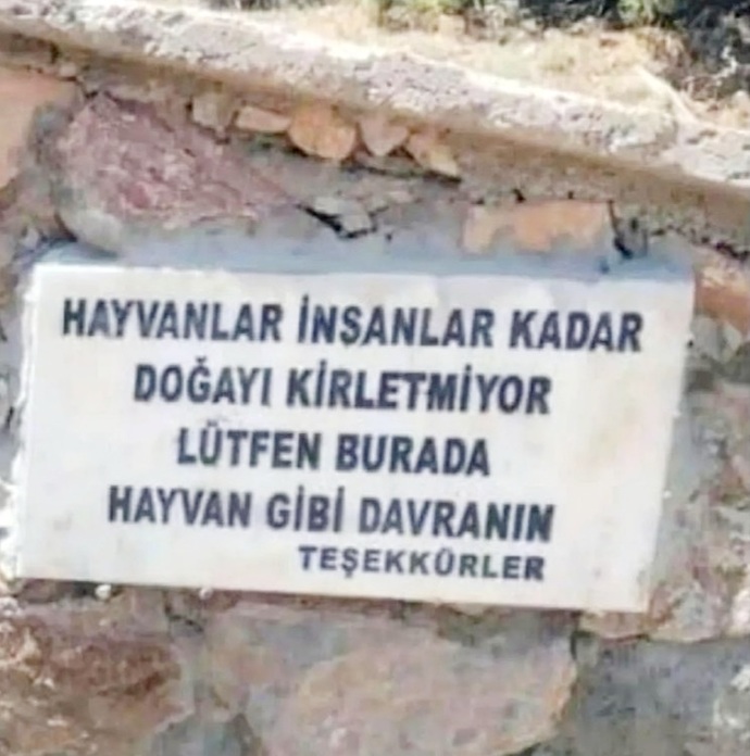 İnsanlara, hayvan gibi davranın diyebileceğiniz neler var?