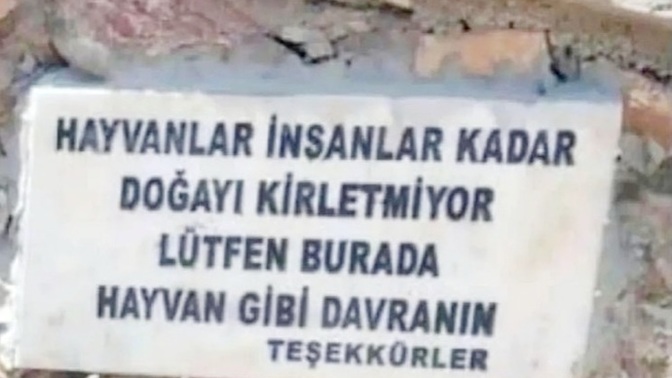 İnsanlara, hayvan gibi davranın diyebileceğiniz neler var?