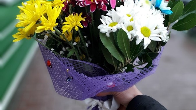 Kendi özel amatör çekimim nasıl sizce en iyi foto hangisi sizce?