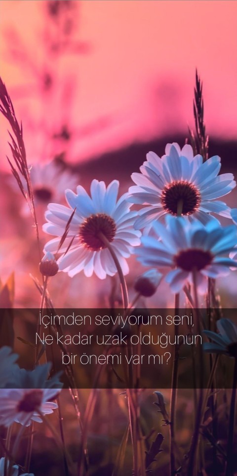 Özlemek insana acı mı verir yoksa umut mu?