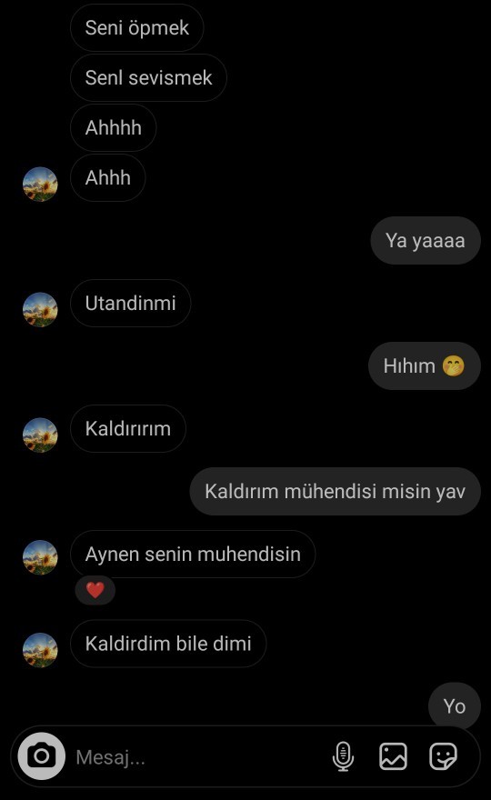 Ben bu yakışıklı çocuğu nasıl tavlarım?