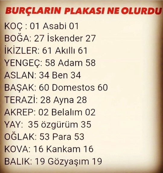 Burcuna göre plakan sence doğru mu?