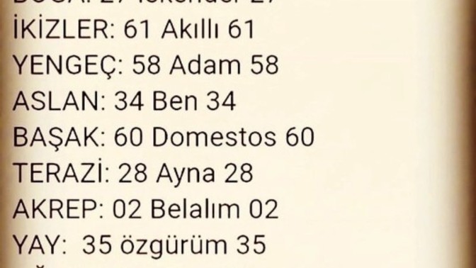 Burcuna göre plakan sence doğru mu?