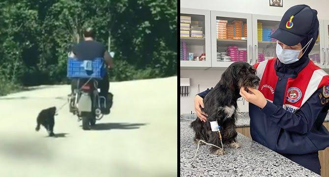 Motorsikletinin arkasına köpeğini bağlayıp sürükleyen şahıs yakalandı. Peki sen böyle insancıklar hakkında ne düşünüyorsunuz?