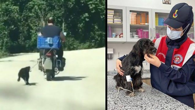 Motorsikletinin arkasına köpeğini bağlayıp sürükleyen şahıs yakalandı. Peki sen böyle insancıklar hakkında ne düşünüyorsunuz?