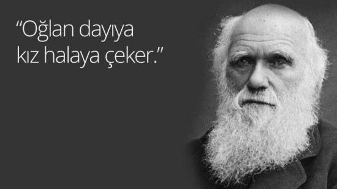 Siz kime çektiniz?