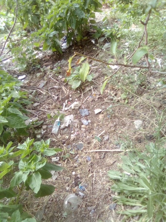 Boş arsaya sokağa çöp atan bir doğulu aileyi emniyete ve zabıtaya şikayet ettim zabıta ötmüş benim kim olduğumu söylemiş onlara?