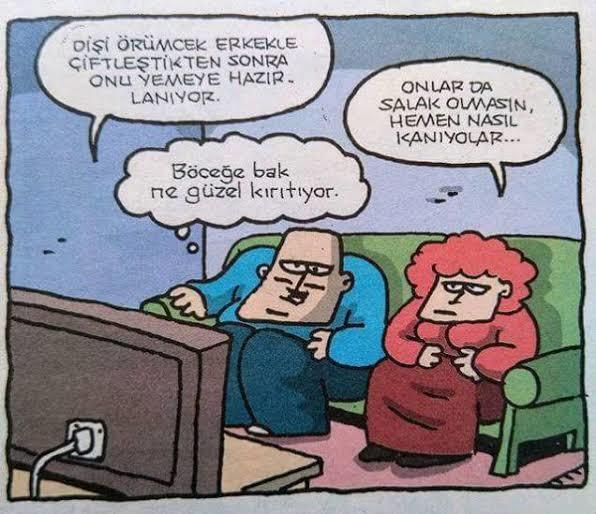 Üç gündür tanıştığı insana ölüp biten kişiye ne denir?