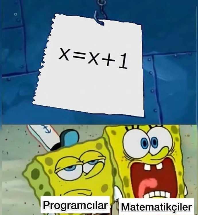 x=x+1 ifadesinde Programcılar ve Matematik&ccedil;iler
