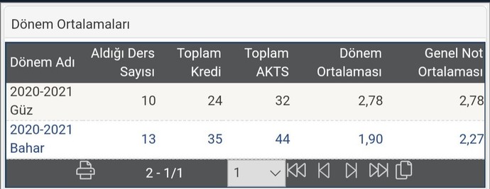 Sorunlu geçti ne demek bakar mısınız lütfen?