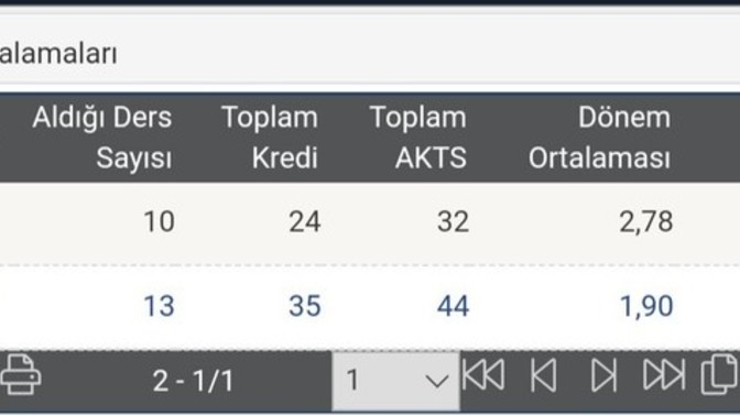 Sorunlu geçti ne demek bakar mısınız lütfen?