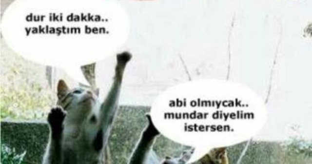 Elde edemediği Kadın/Erkek hakkında atıp tutan İnsanlar hakkında ne düşünüyorsunuz 💅?