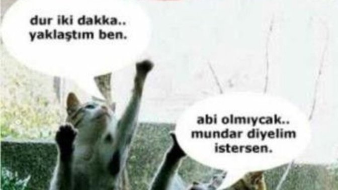Elde edemediği Kadın/Erkek hakkında atıp tutan İnsanlar hakkında ne düşünüyorsunuz 💅?