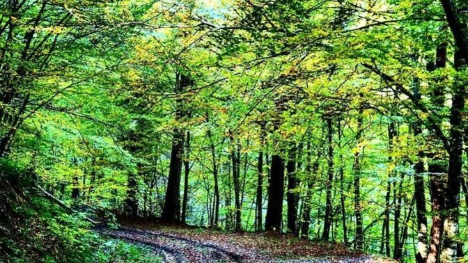 Size terapi gibi gelen şeyler nedir?