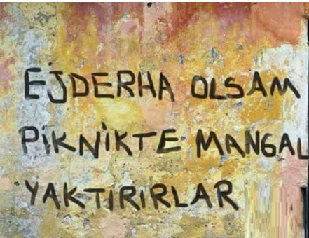 Evde ejderha beslenir mi?