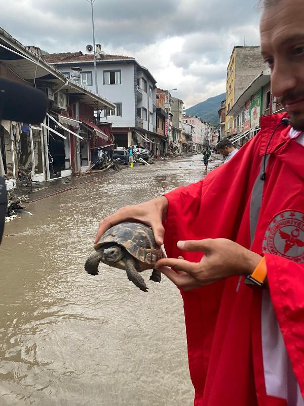Batı Karadeniz selinde kaybettiğimiz hayvanlar olduğu gibi içimizi ısıtan görüntüler de oldu, bakar mısınız masumluğa?