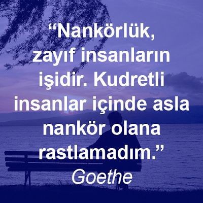 Sizce insanlar neden bu kadar nankör?