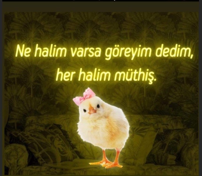 Her güzelin bir kusuru var mıdır?