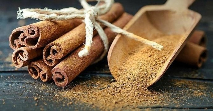Yaşam alanınızı haşerelere karşı nasıl koruyorsunuz?