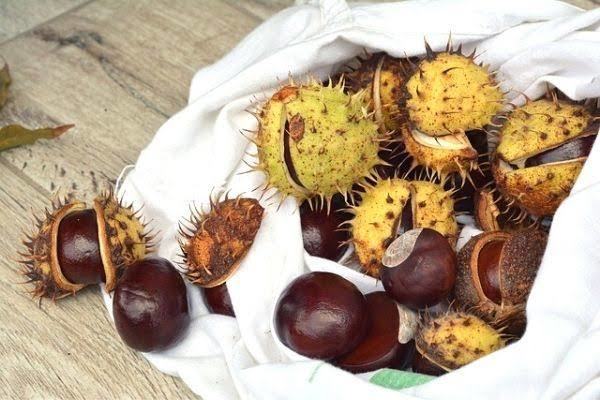 At kestanesi kremi faydaları nelerdir?