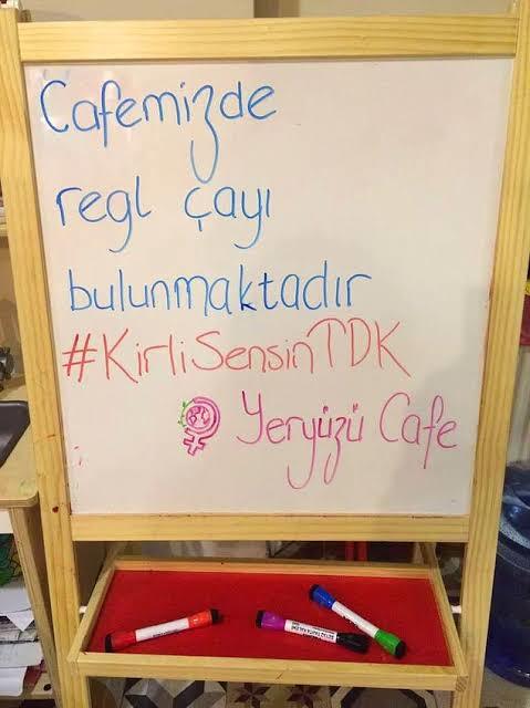 TDKde kirlinin kelime anlamlarından biri de aybaşı olan kadın demektir. Bu tanımı nasıl buluyorsun?