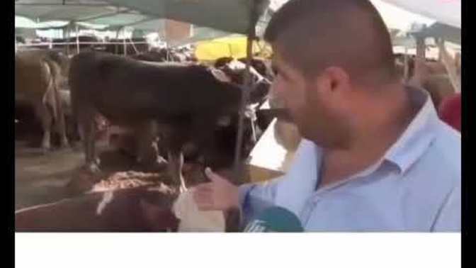 Kimlerin annesi böyle görüyor 😂😂😂?