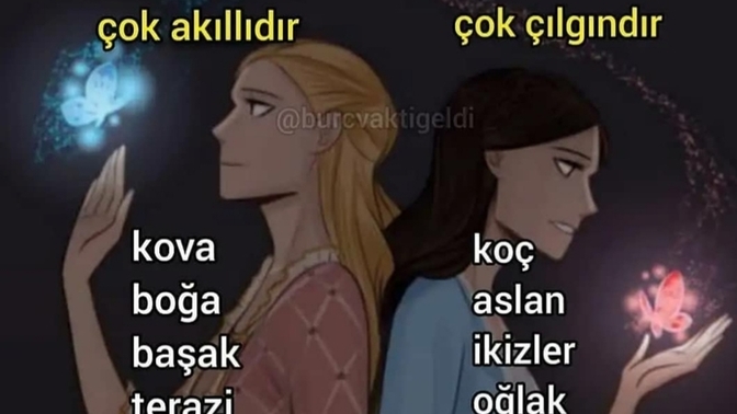 Çılgın mısın, akıllı mı?