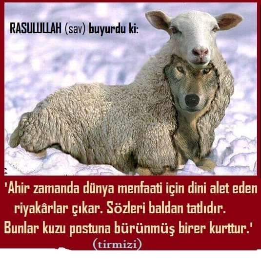 Melek yüzlü şeytanlarla nasil başa çıkılır?