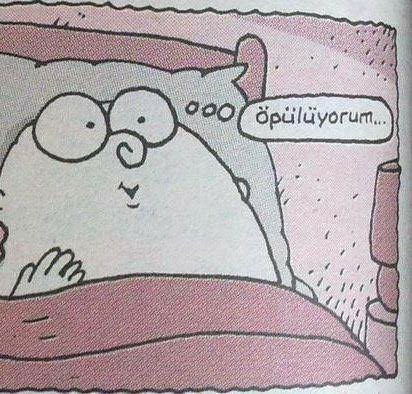 Sevgiliniz/Eşiniz sizi ailenizin yanında öpebilir mi?