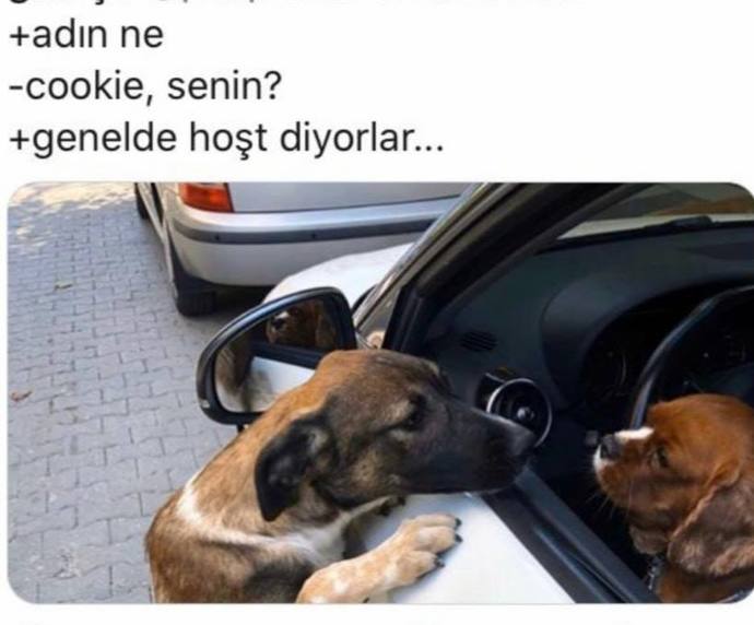 Okuduğunuz en iyi kitap nedir?