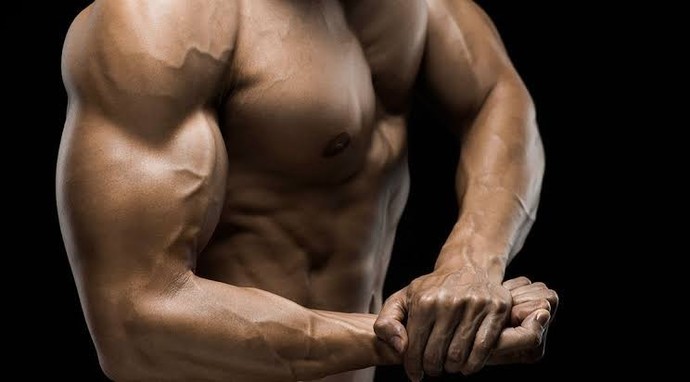 1.78 boy 73 kiloda 40+ cm damarlı kol kası yapmak mümkün mü?