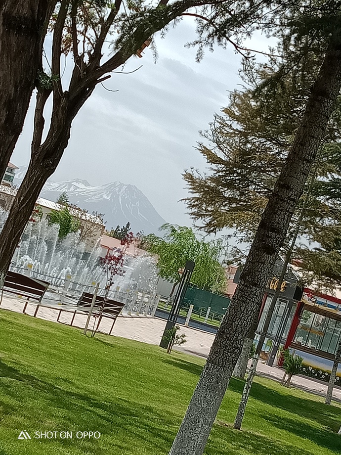 Memleketinizi seviyor musunuz?