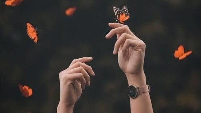 Bir tavsiyede bulunur musunuz? desem ne dersiniz🥰?