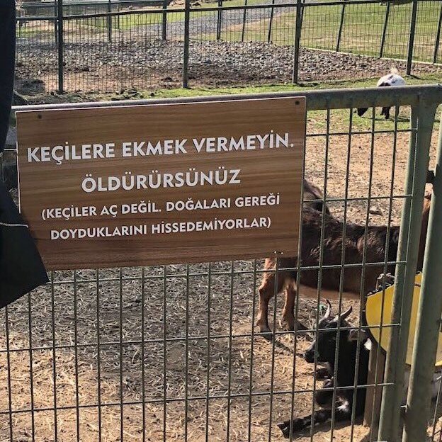 Doyduğunuzda yemeği bırakır mısınız?