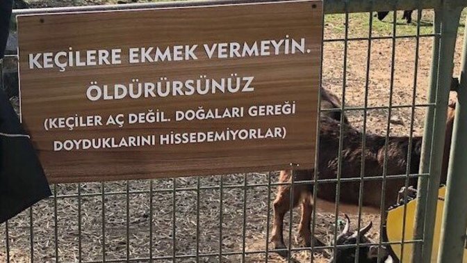 Doyduğunuzda yemeği bırakır mısınız?