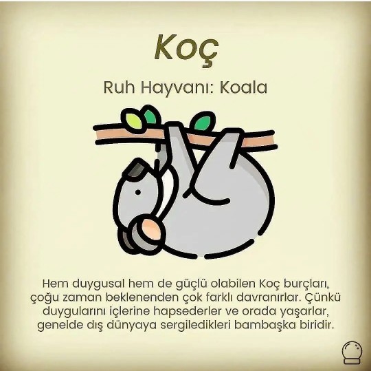 Burcuna göre senin ruh hayvanın nedir?