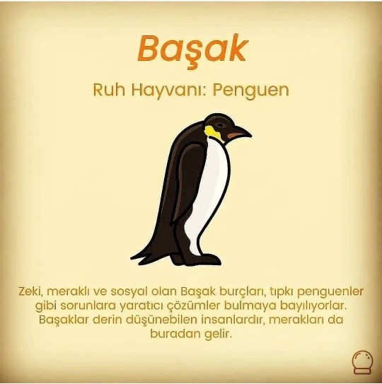 Burcuna göre senin ruh hayvanın nedir?