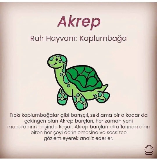 Burcuna göre senin ruh hayvanın nedir?