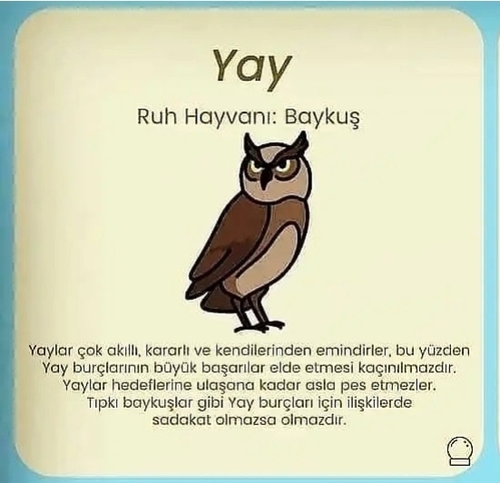Burcuna göre senin ruh hayvanın nedir?