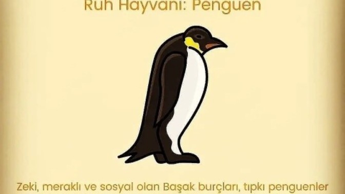 Burcuna göre senin ruh hayvanın nedir?