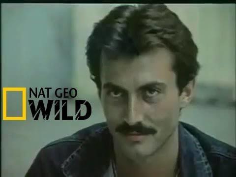 Herşey sevişmek icin miydi?