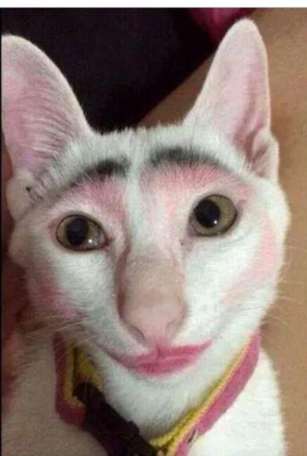 Filtre ve makyaj dolandırıcılık mıdır?