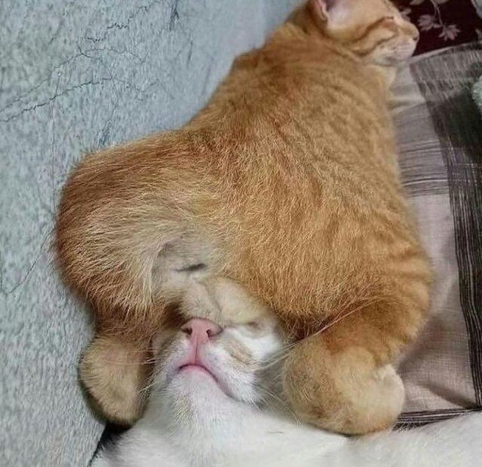 ❤️ ❤️