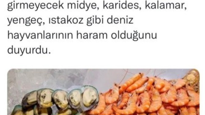 Midye, yengeç ve ıstakoz haram kabul edilmiş! Bu konu hakkında ne düşünüyorsunuz?