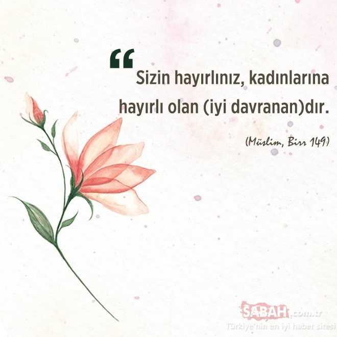 Sizce islam baş örtüsü mü?