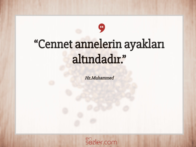 Sizce islam baş örtüsü mü?